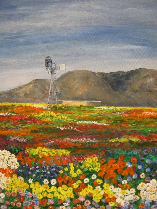 Original acrylic painting of a landscape of the Namakwaland (594x420x18mm) by Doreen Fourie