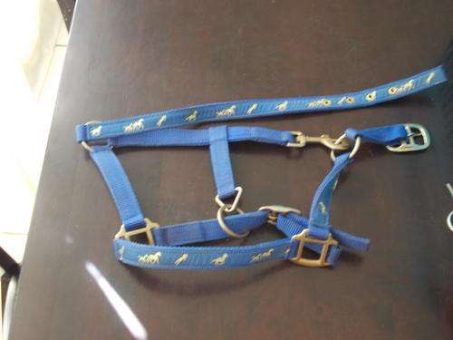 Gorgeous Blue Second Hand Pony Halter