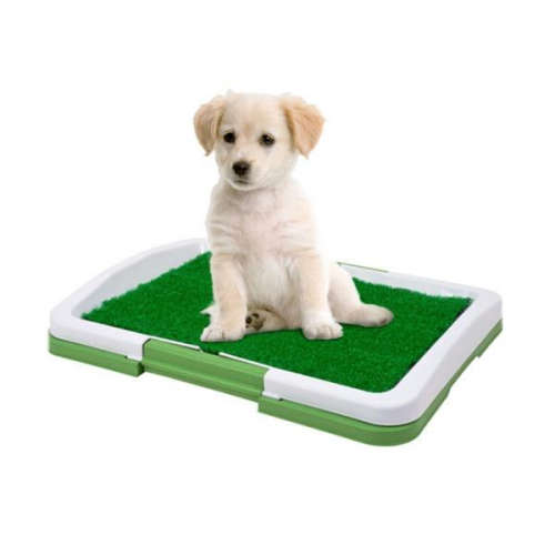 Potty Patch