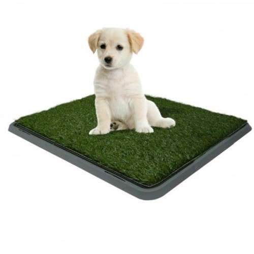 Potty Patch 40 x 50