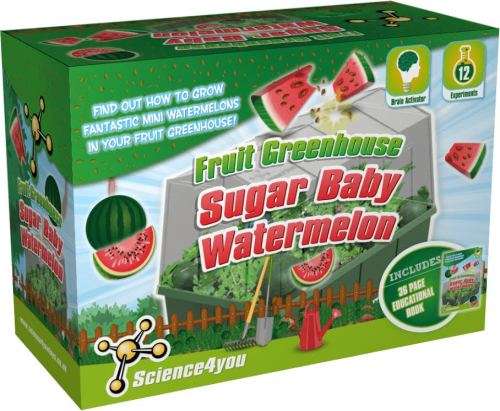 Science4You - Fruit Greenhouse - Sugar Baby Waterm