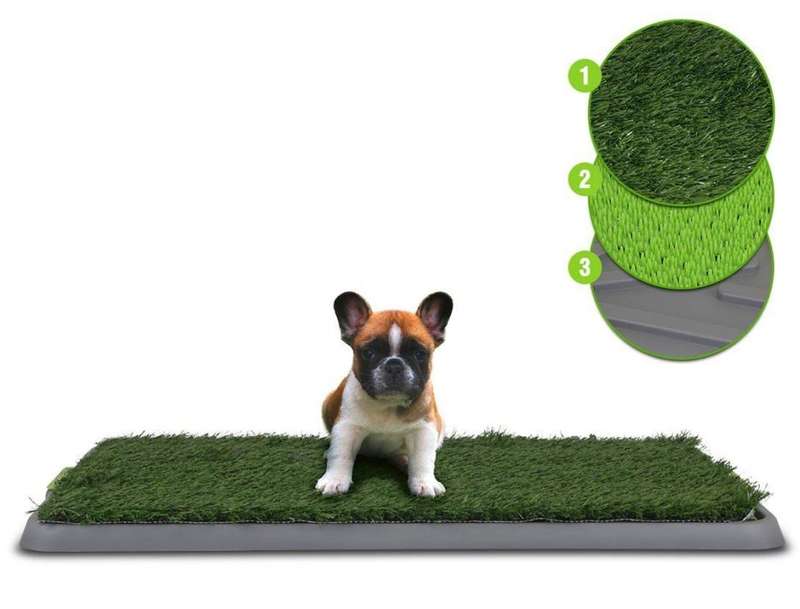 Potty Patch