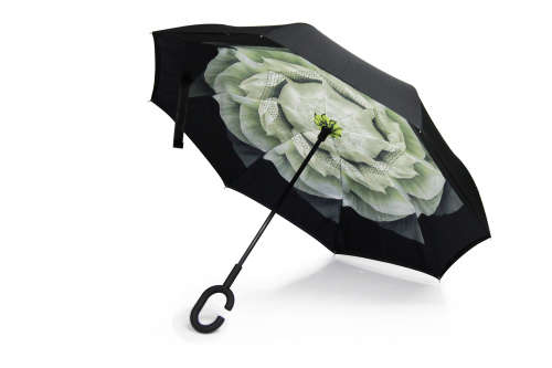 Inverted Umbrella