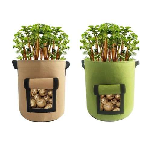 Grow-in-a Bag