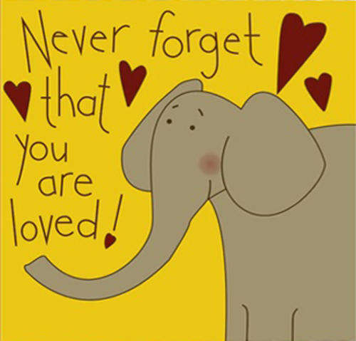 Canvas - Elephant