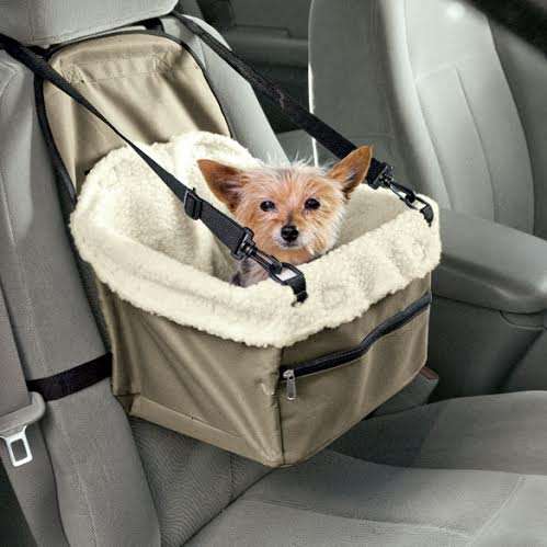 Pet Travel Set - Buy 1 Get 1 Free