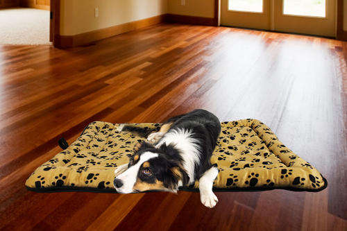 Dog Bed | SAME DAY DELIVERY