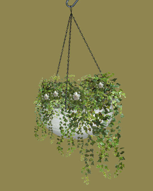 Ceramic Planter Matt Wht - Lge