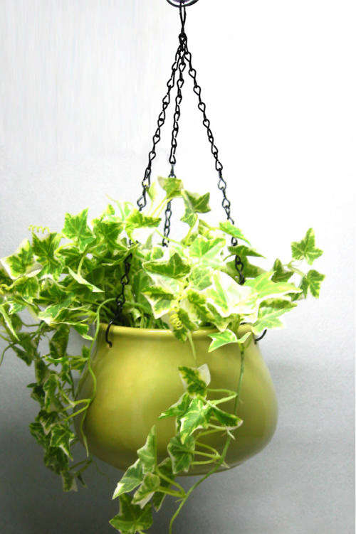 Ceramic Planters 5767C Shiny - Lge