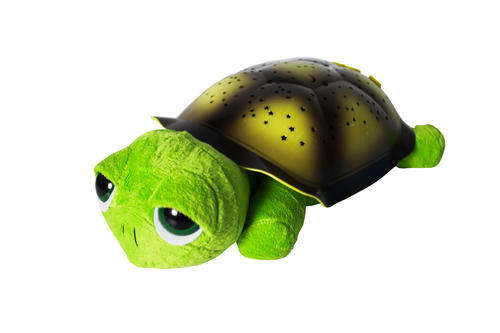 Big Eyes Turtle - Green