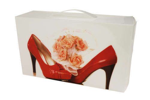 Shoe Box - Pink Rose (Red Shoe)