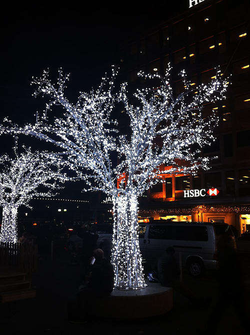 Solar - 50 Lights 5m