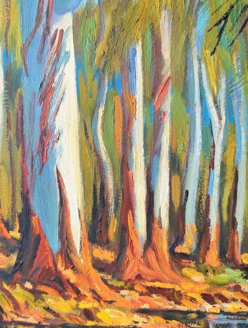 Two Beautiful landscape oil paintings signed and dated by artist J. P van der Walt
