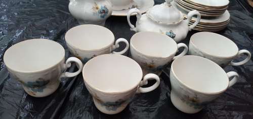 Pretty Constantia Fine China RSA tea set