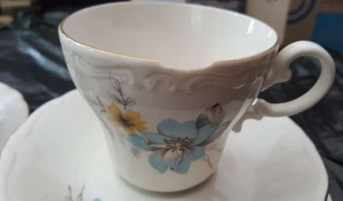 Pretty Constantia Fine China RSA tea set