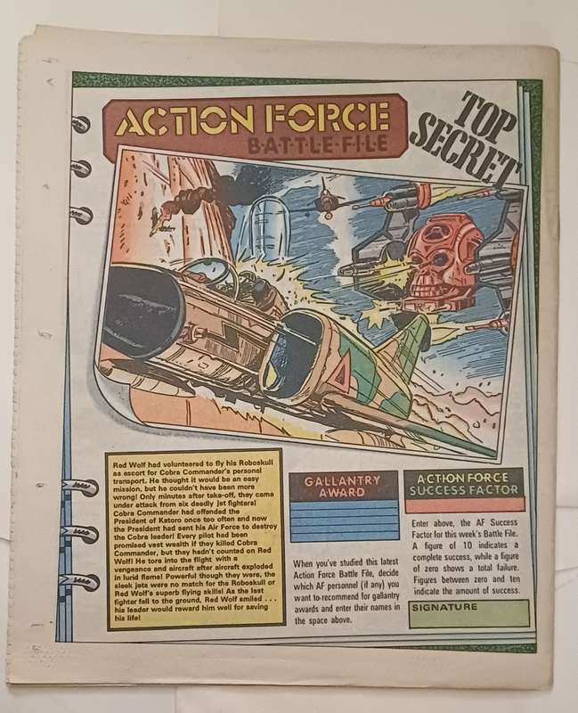 BATTLE ACTION FORCE - ROBOSKULL RESCUE