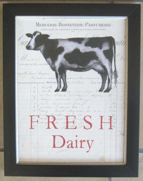 Freshh Dairy cow print in black & silver frame 37 x 47cm