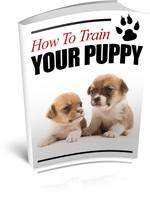 How to Train  your Puppy