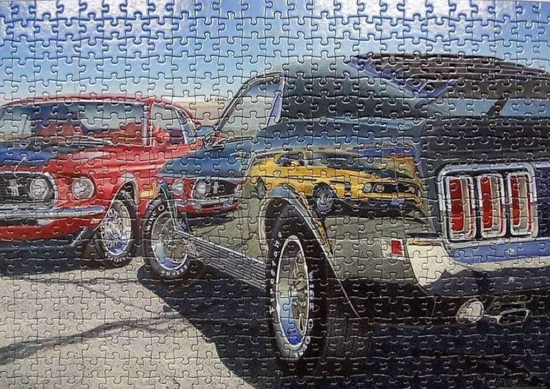 Anatolian 500 Piece Puzzle: Mach Speed Cars Mustang