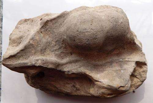 Stromtolite - FREE POSTAGE AND PACKAGING
