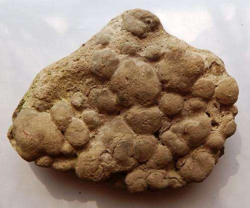 Stromtolite - FREE POSTAGE AND PACKAGING