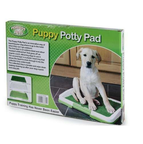 PUPPY POTTY TRAINING PAD *CHEAPEST SHIPPING OUT OF ALL SELLERS*