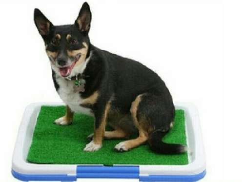 PUPPY POTTY TRAINING PAD *CHEAPEST SHIPPING OUT OF ALL SELLERS*