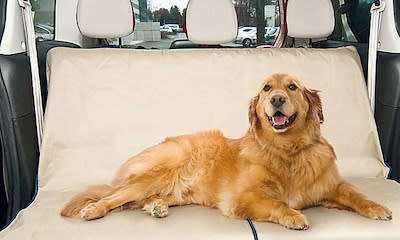 Petzoom Loungee Auto Pet Seat Cover Waterproof as Seen on TV / 2 FOR R199 *BARGAIN SALE*