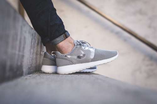 Wolf grey roshe hotsell