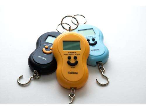 Portable 40kg Electronic Multi-Purpose Luggage Weighing Scale with Batteries - Assorted Color