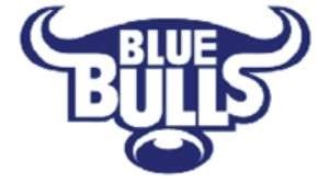 new arrival blue bullblanket