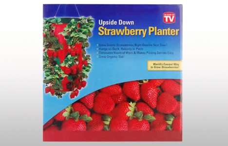 Strawberry Planters