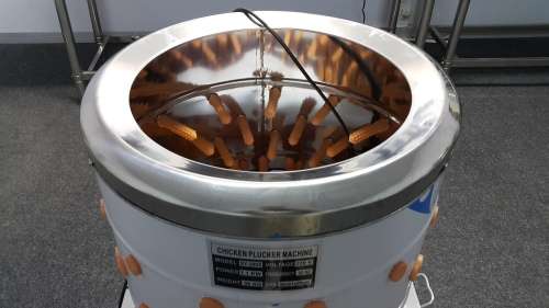 CHICKEN PLUCKER FOR SALE - CHICKEN PLUCKER MACHINE - FEATHER PLUCKER - POULTRY PLUCKER - DEFEATHER