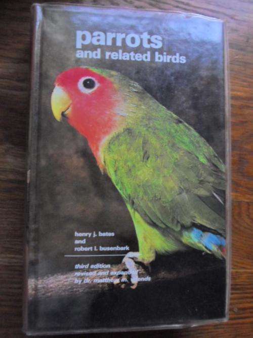 PARROTS AND RELATED BIRDS