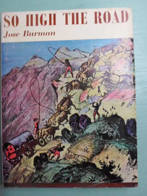 SO HIGH THE ROAD - Mountain Passes of the Western Cape - Jose Burman