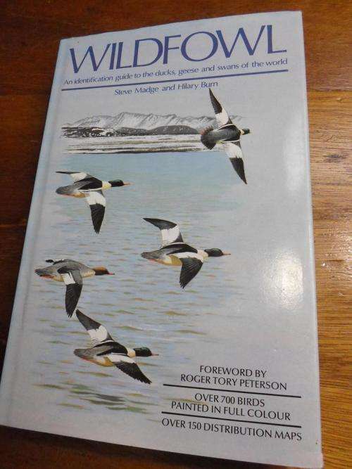 WILDFOWL. Steve Madge and Hilary Burn