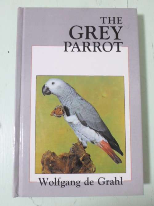 THE GREY PARROT