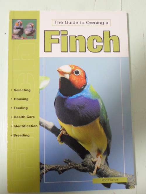 The guide to owning a FINCH