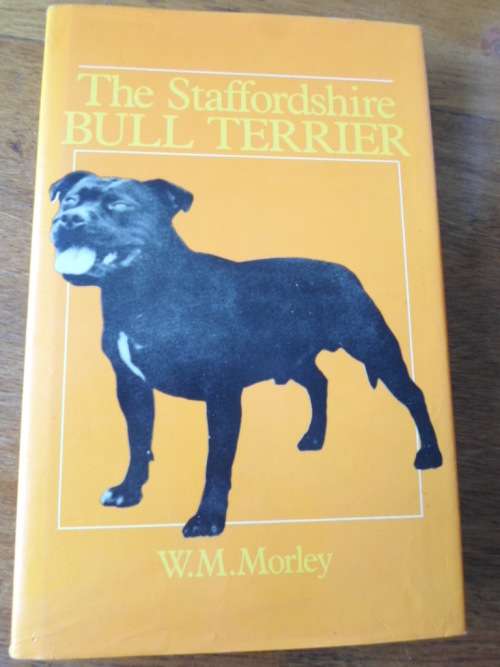 STAFFORDSHIRE BULL TERRIER