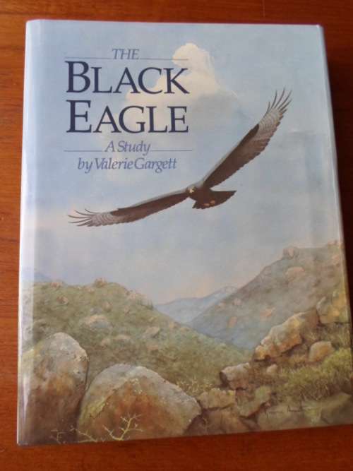 THE BLACK EAGLE - A Study by Valerie Gargett