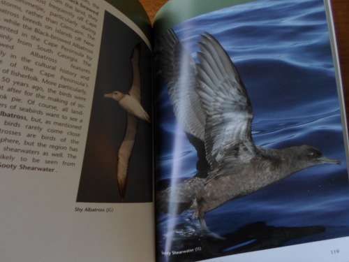 CAPE PENINSULA BIRDLIFE. An introduction to better birdwatching