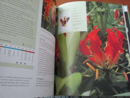 THE BULB BOOK. A South African Gardener's Guide. Barnhoorn