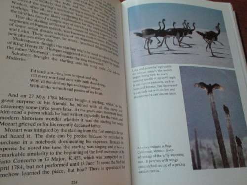 THE PRIVATE LIFE OF BIRDS. A worldwide exploration of bird behaviour