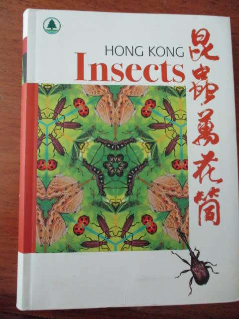 HONG KONG INSECTS