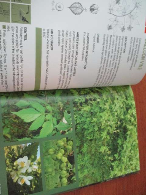 INVASIVE ALIEN PLANTS in KWAZULU-NATAL