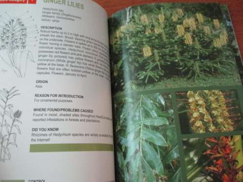 INVASIVE ALIEN PLANTS in KWAZULU-NATAL