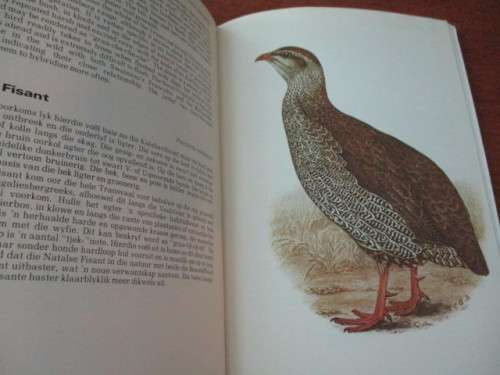 The Terrestrial Birds of the Transvaal - Die Landjagvoëls van Transvaal