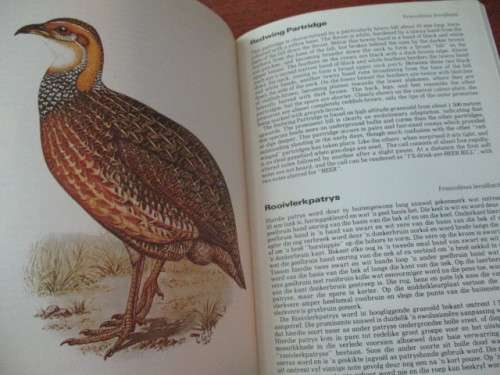 The Terrestrial Birds of the Transvaal - Die Landjagvoëls van Transvaal
