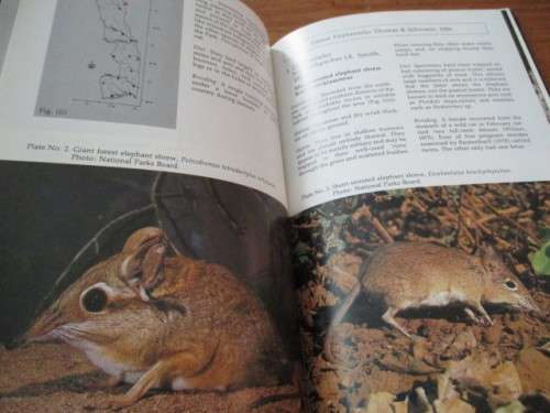 The Small Mammals of the Kruger National Park