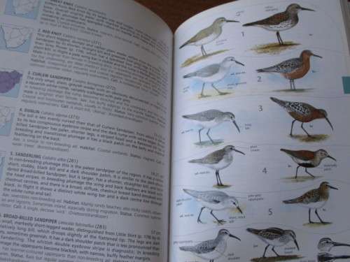 Sasol BIRDS OF SOUTHERN AFRICA. 3d edition